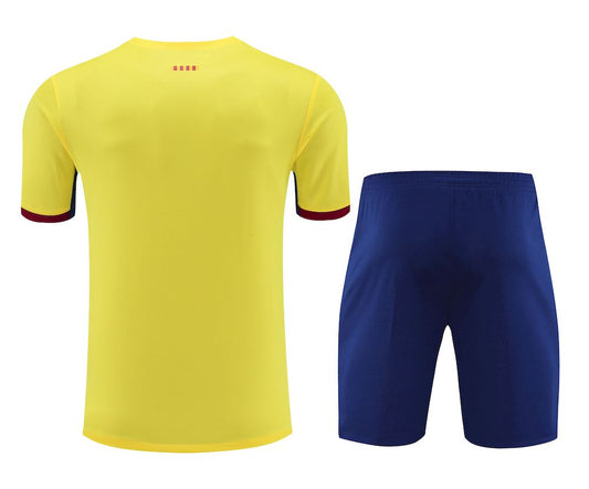 Camisa de treino adulto Barcelona 2023/24 + short 418