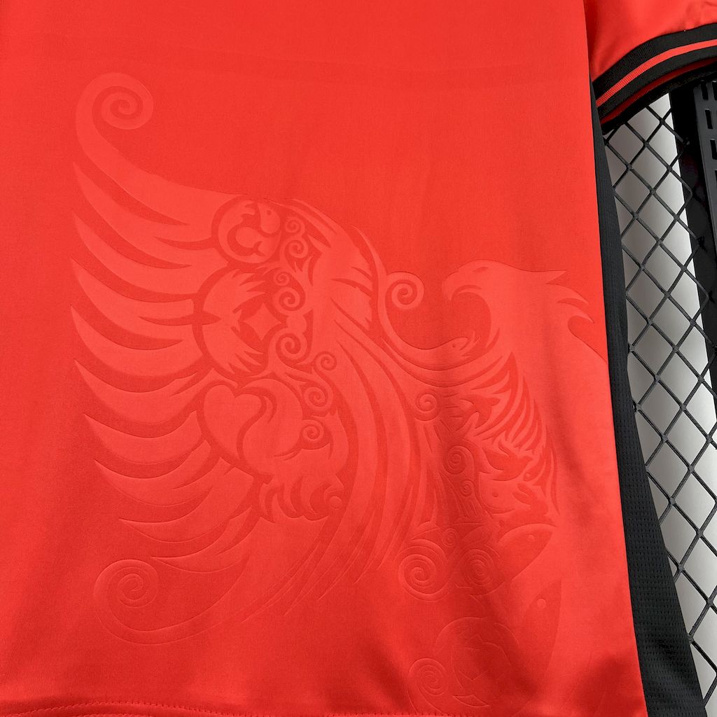 Albania 2025/26 Home Jersey