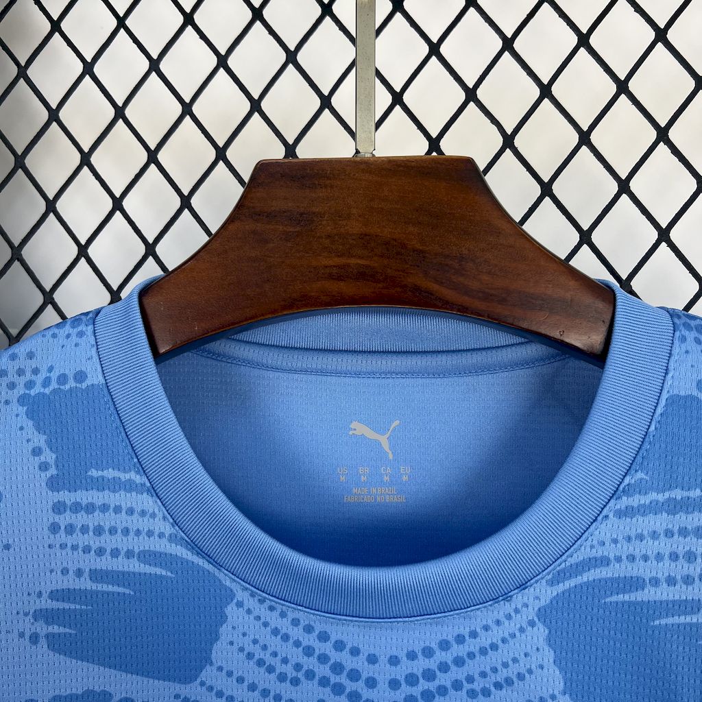 Camisa Goleiro Palmeiras 2025/26