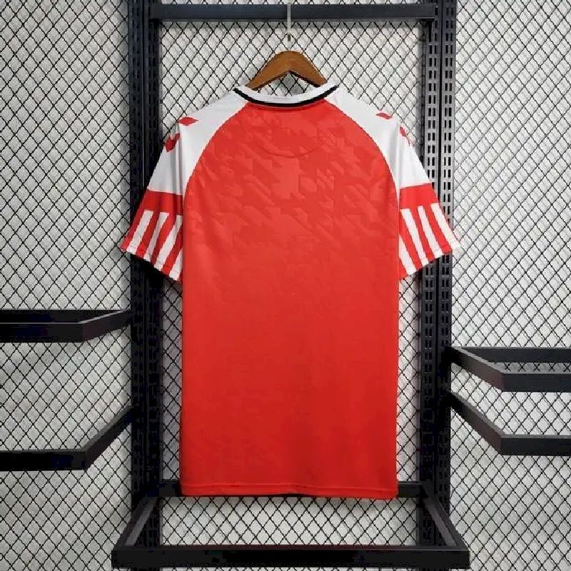 Men's Denmark 2023/24 Home Jersey