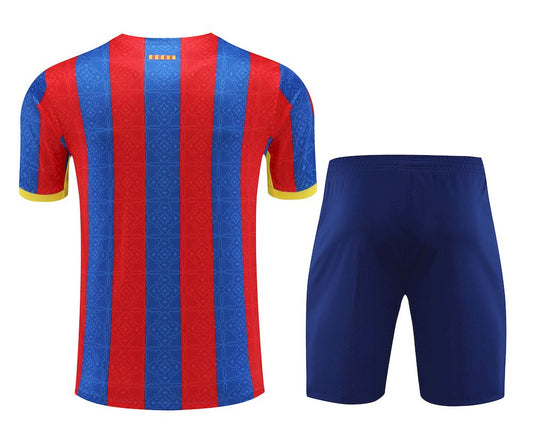 Camisa de treino adulto Barcelona 2023/24 + short 418