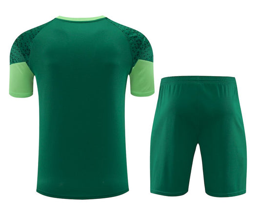 Palmeiras 2024/25 Camisa+Curto Adulto Treinamento 2024/25 418