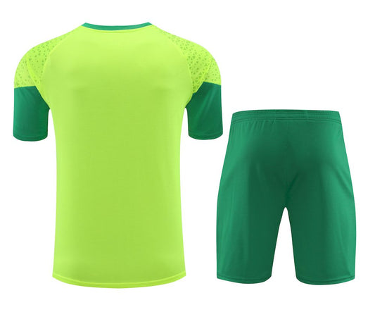 Palmeiras 2024/25 Camisa+Curto Adulto Treinamento 2024/25 418