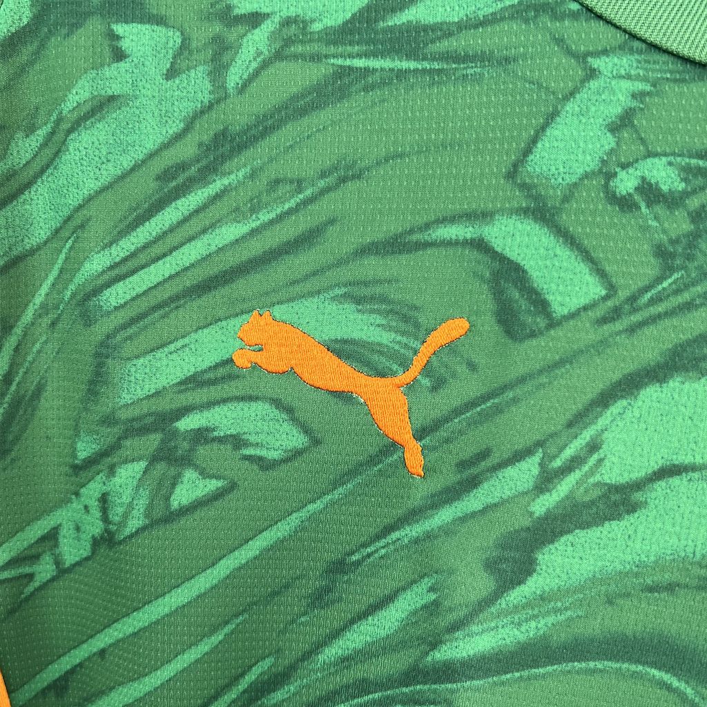 Borussia Dortmund 2024/25 Goalkeeper Green Jersey