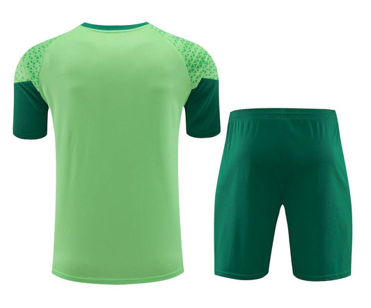 Palmeiras 2024/25 Camisa+Curto Adulto Treinamento 2024/25 418