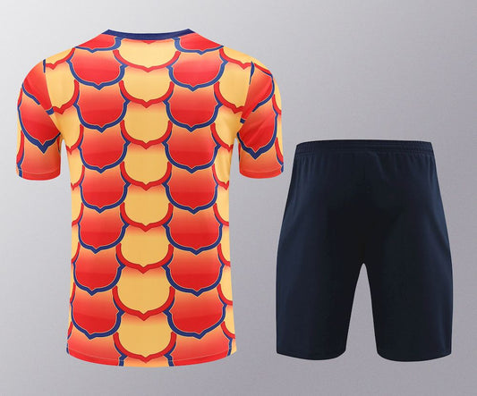 Camisa de treino adulto Barcelona 2023/24 + short 418