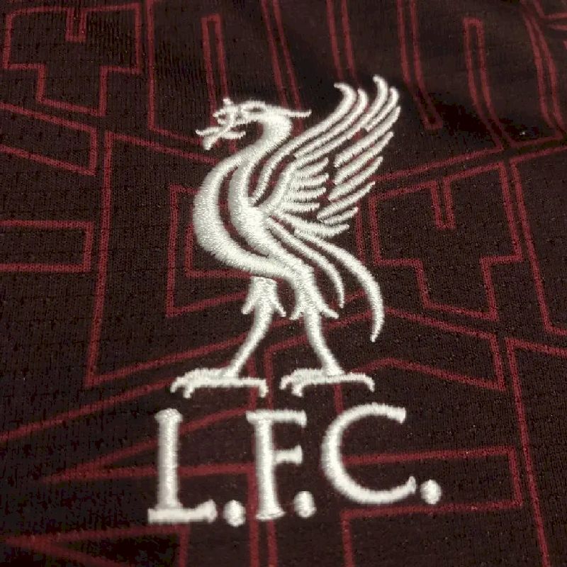 Camisa de basquete masculina Liverpool - LeBron DNA