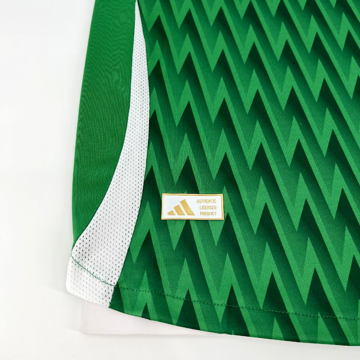Palmeiras 2024/25 Special Edition Green Jersey Player Version