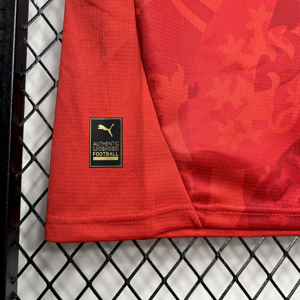 Czech Republic 2024/25 Euro Away Jersey