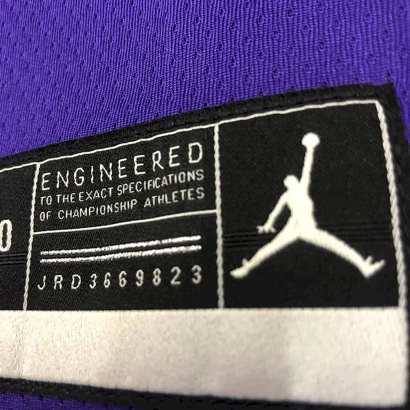 Camisa masculina LeBron James 2020-21 roxa Swingman versão jogador – Edição Statement