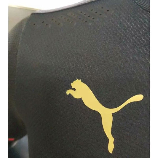 Stade Rennais FC 120th Anniversary Jersey Player Version