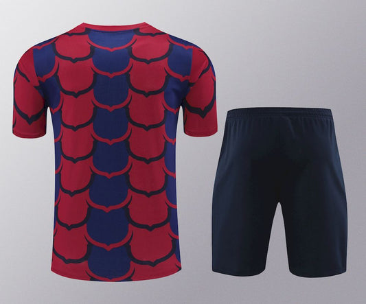 Camisa de treino adulto Barcelona 2023/24 + short 418