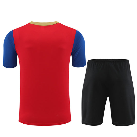 Camisa e short de treino adulto do Barcelona 2023/24 14001