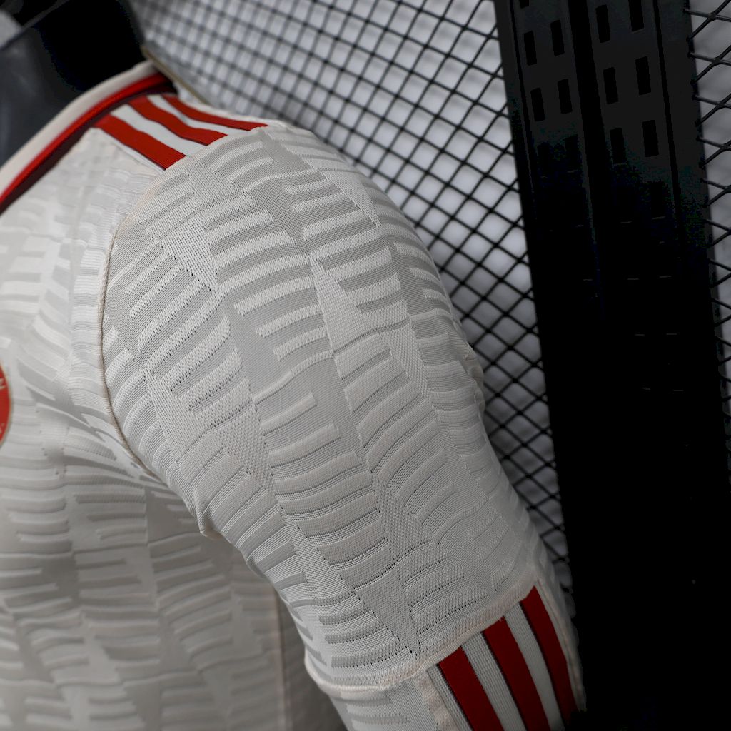 Bayern Munich 2024/25 Third Long Sleeves Jersey Player Version