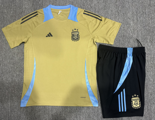 Camisa e short de treino adulto Argentina 2023/24 14001