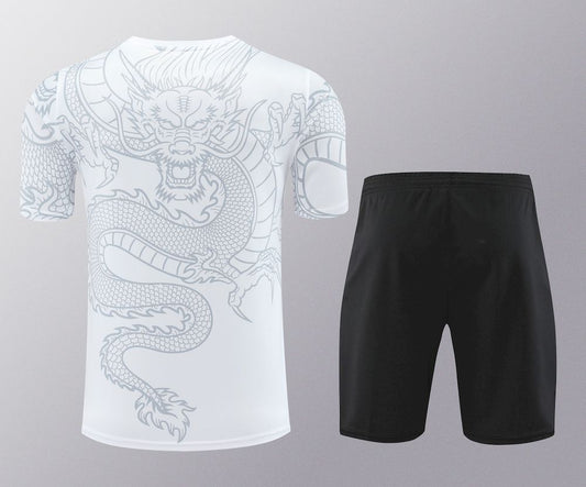 Camisa de treino adulto + shorts do Real Madrid 2023/24 418