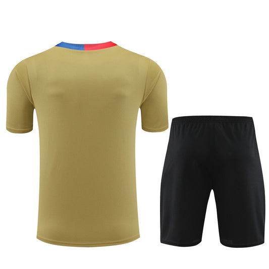 Camisa e short de treino adulto do Barcelona 2023/24 14001