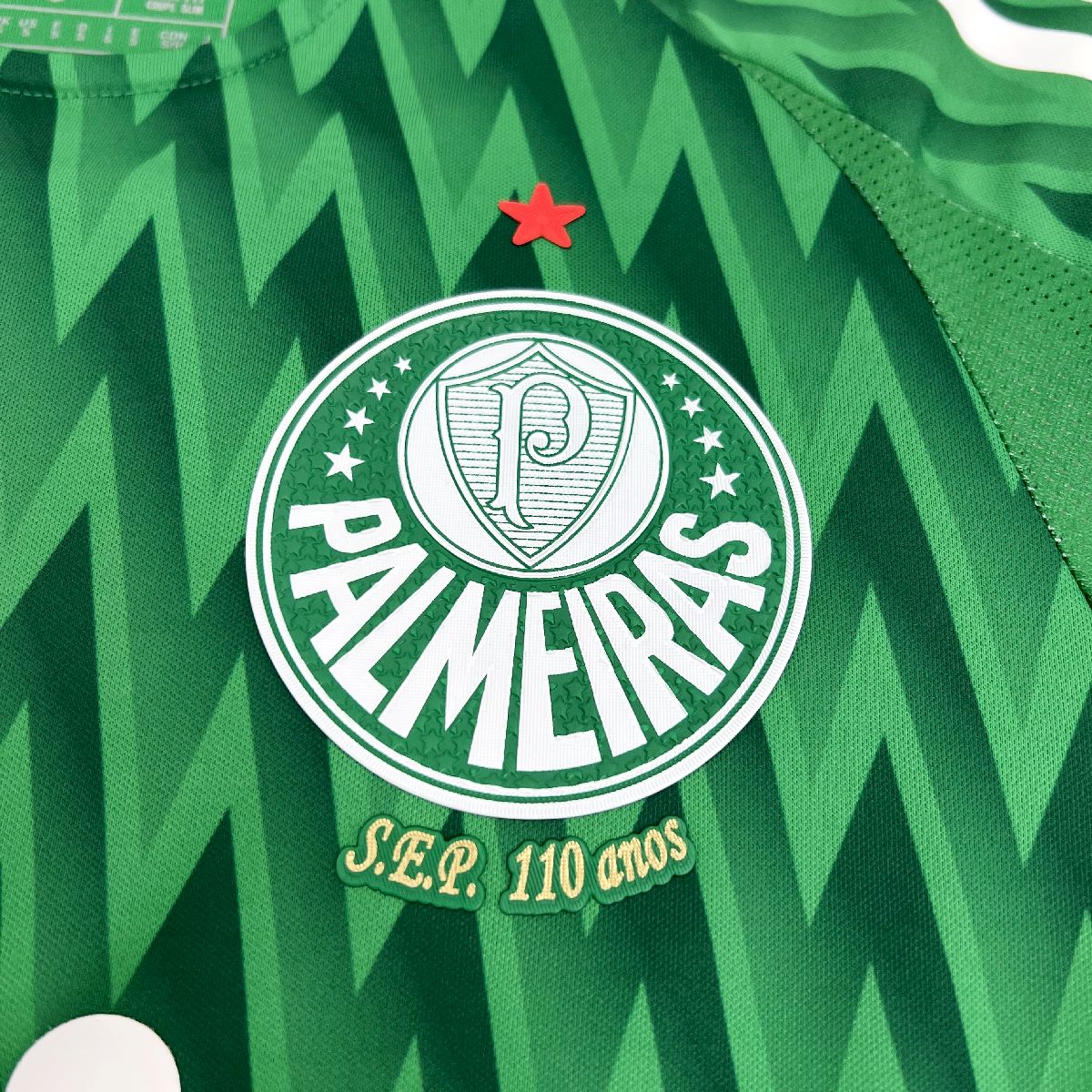 Palmeiras 2024/25 Special Edition Green Jersey Player Version