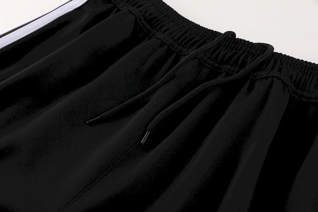 Jaqueta e calça de treinamento adulto Alemanha 2024/25 HL