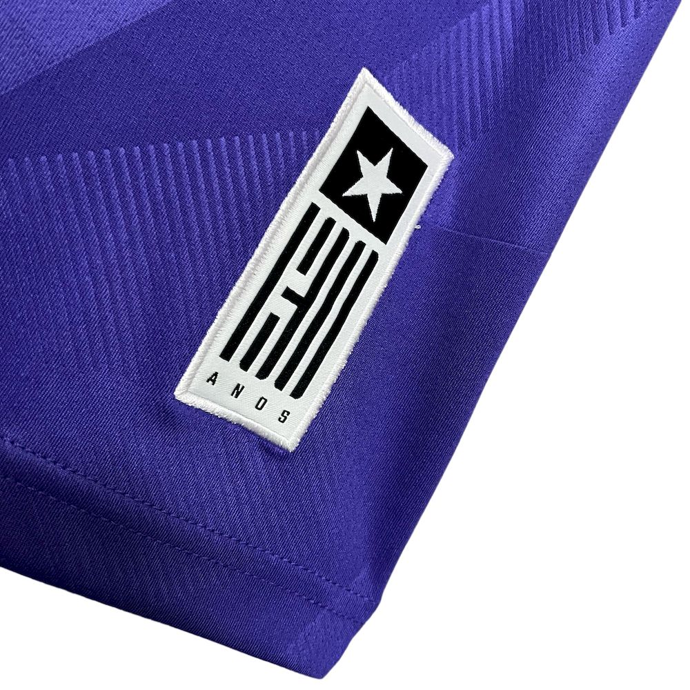 Camisa de goleiro Botafogo 2024/25 roxa