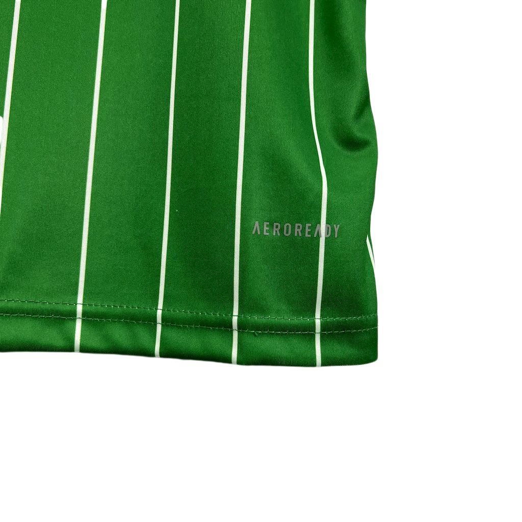 Celtic 2024/25 Commemorative Edition Jersey