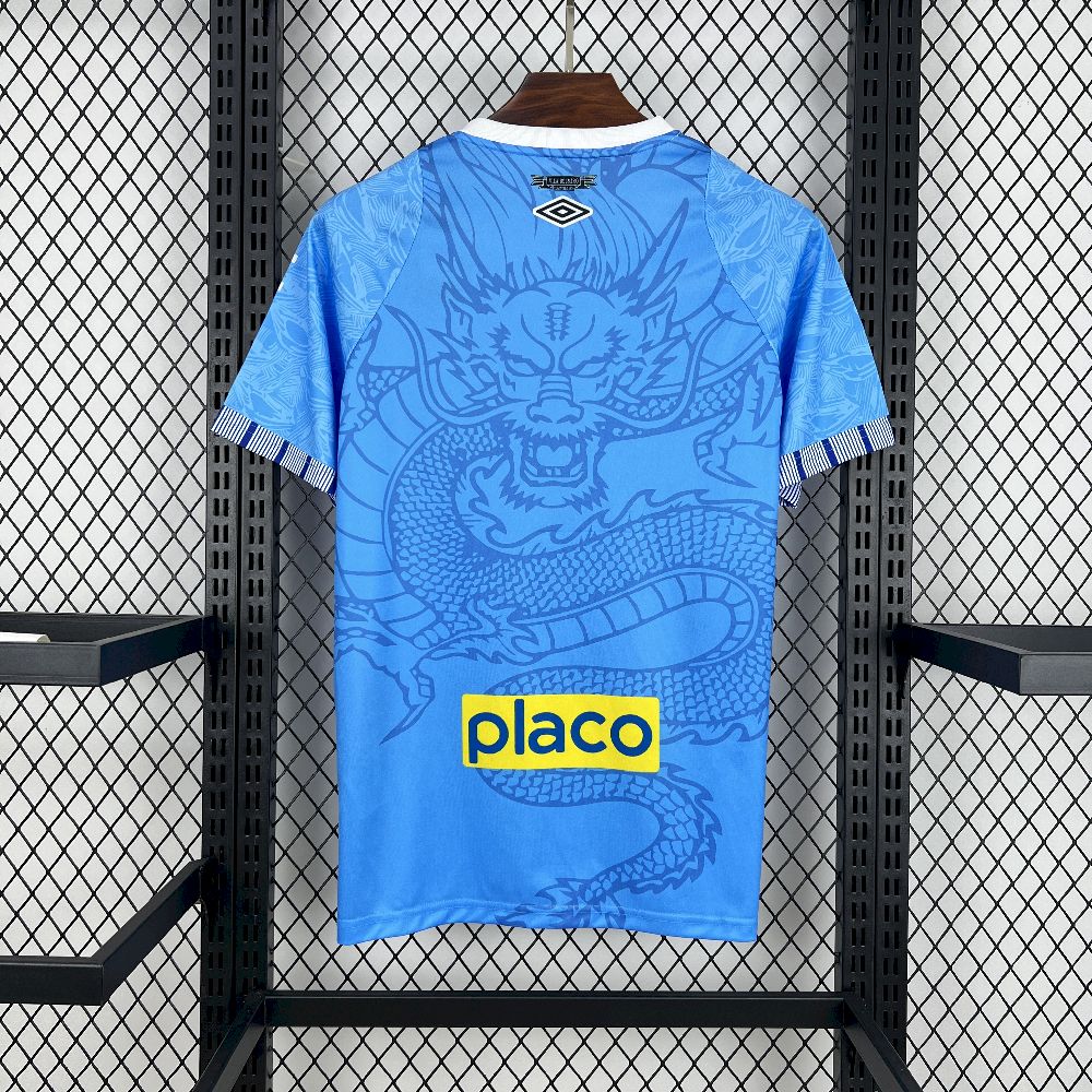 Santos 2025/26 Blue Dragon Special Edition Jersey