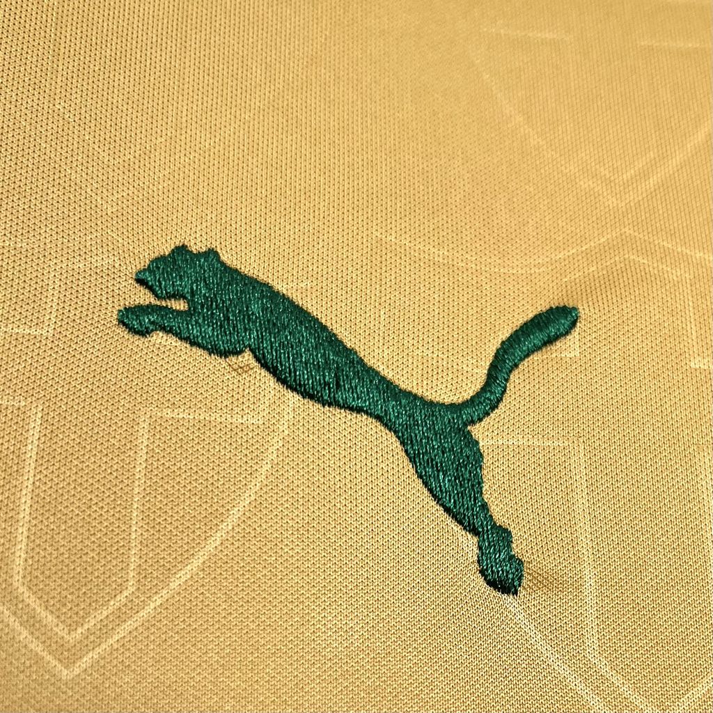 Palmeiras 2024/25 Third Jersey