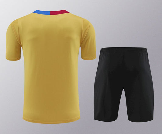 Camisa de treino adulto Barcelona 2023/24 + short 418