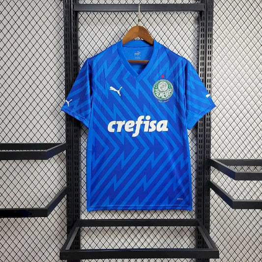 Men's Palmeiras 2024/25 Goalkeeper Jersey