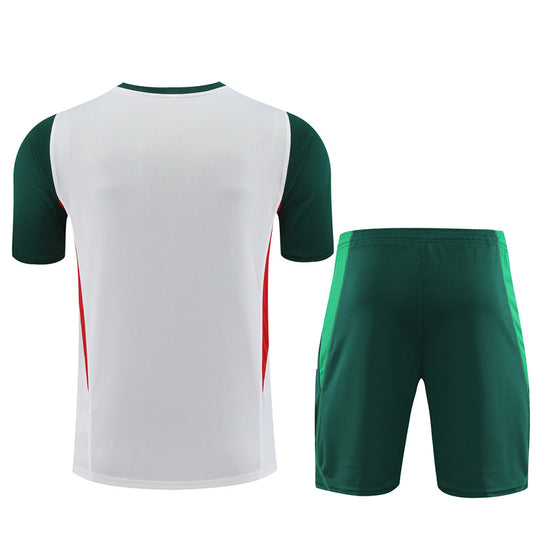 Camisa e short de treino adulto México 2023/24 14001-1