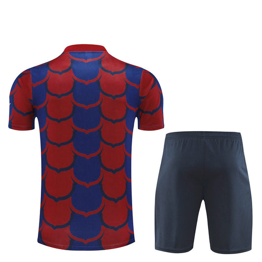 Camisa e short de treino adulto do Barcelona 2023/24 14001