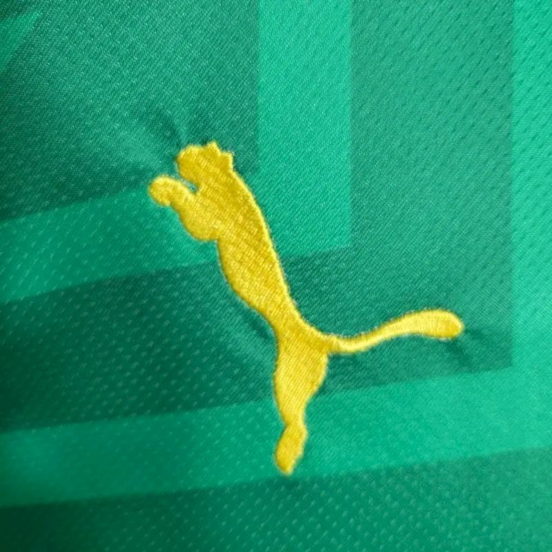 Camisa de goleiro Manchester City 2023/24 verde