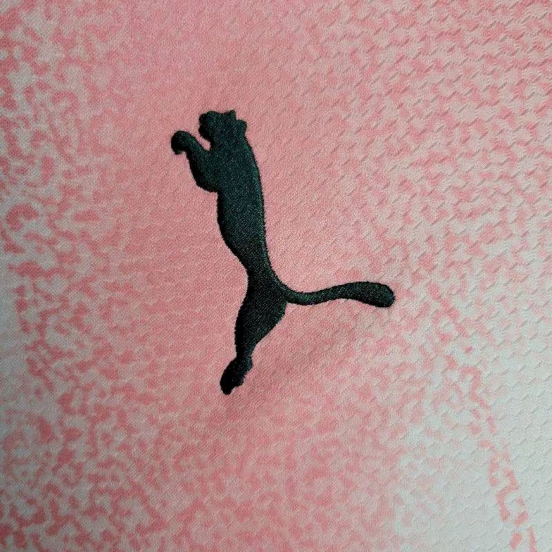 Men's Palmeiras 2023/24 Commemorative Edition Jersey