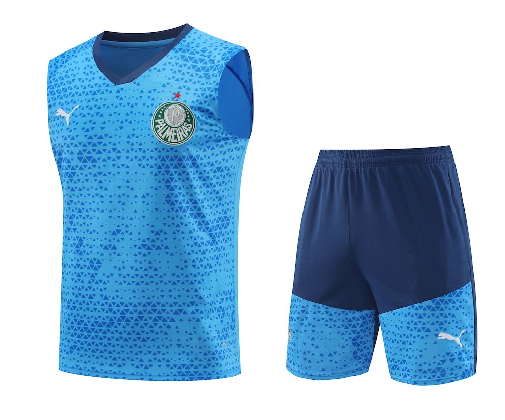 Palmeiras 2024/25 Regata Adulto+Curto 418