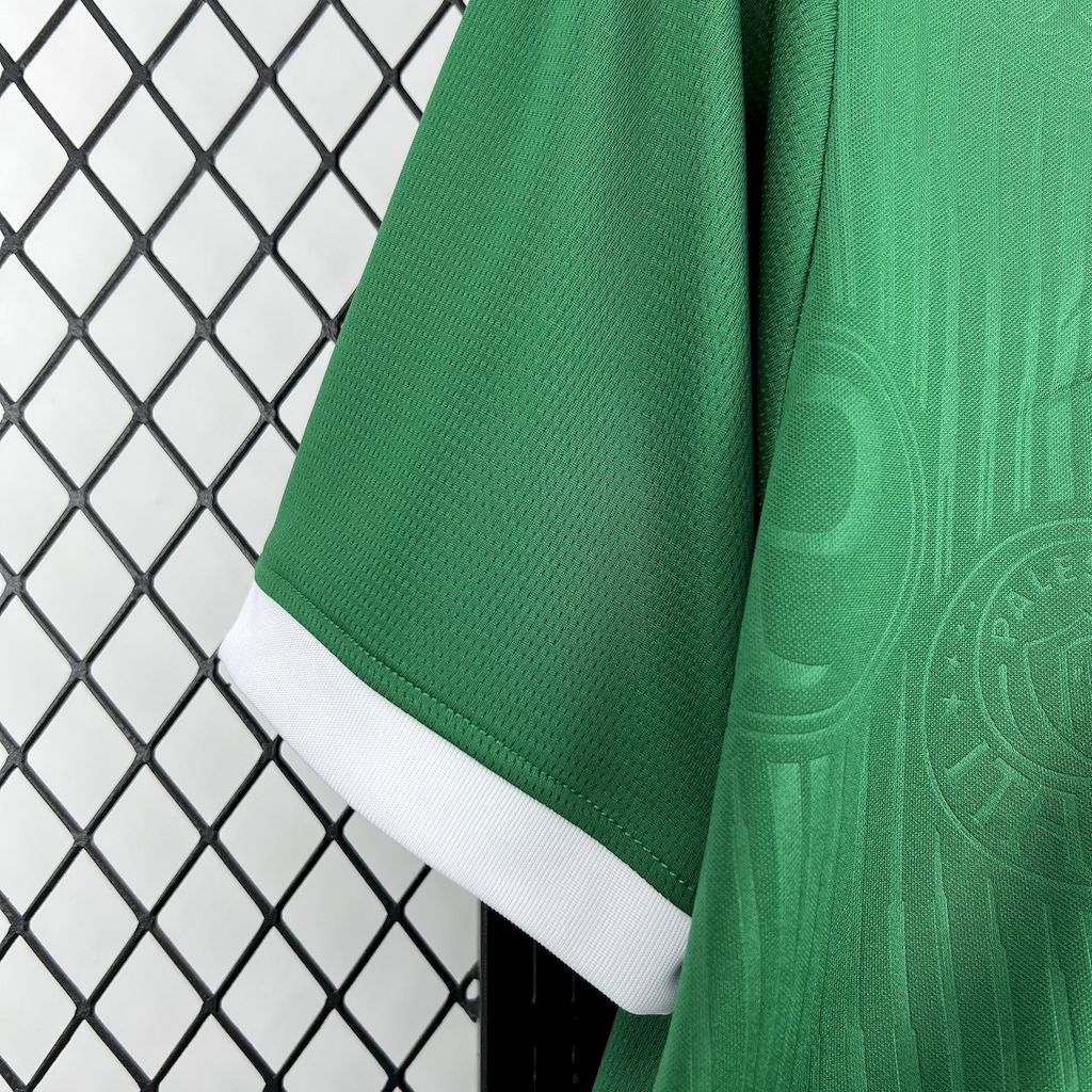 Men's Palmeiras 2023/24 X STUSSY Jersey