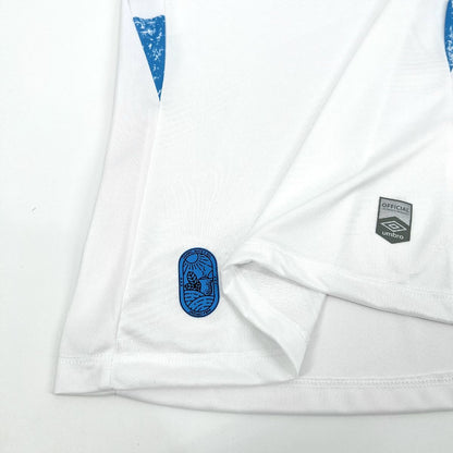 Camisa Alternativa Feminina do Grêmio 2024/25