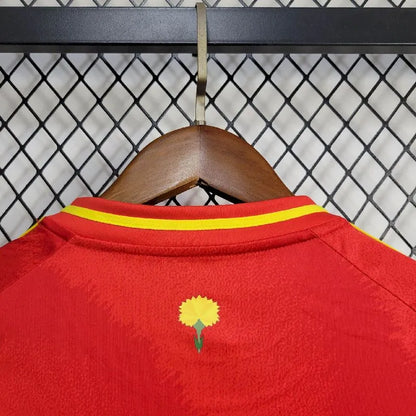 Camisa infantil Espanha Euro 2024/25