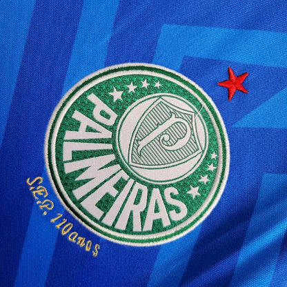 Camisa Goleiro Palmeiras 2024/25