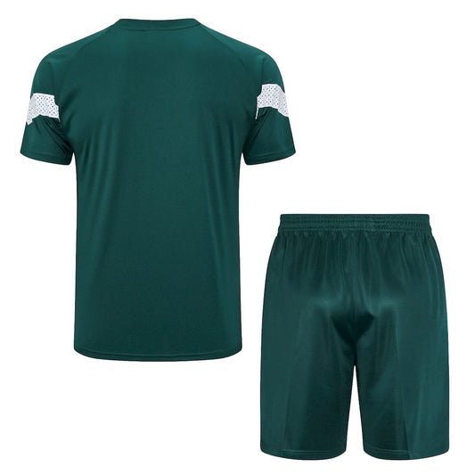 Palmeiras 2023/24 Training Adult Jersey+Short 815