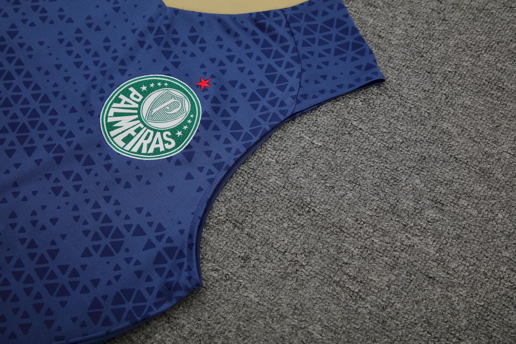 Palmeiras 2024/25 Regata Adulto+Curto 418