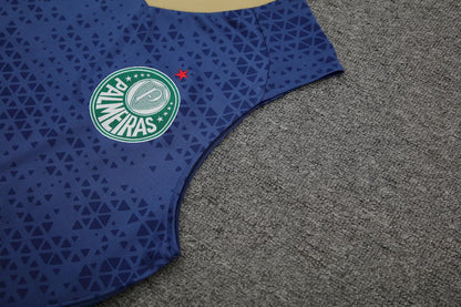 Palmeiras 2024/25 Regata Adulto+Curto 418