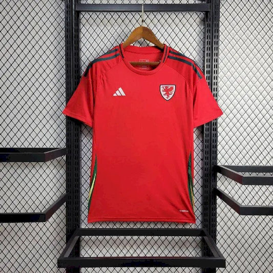 Men's Wales 2024/25 Away Jersey