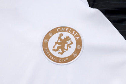 Camisa de treino adulto Chelsea 2023/24 + short 815