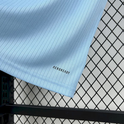 Camisa Azul Alemanha 2025/26 125º Aniversário