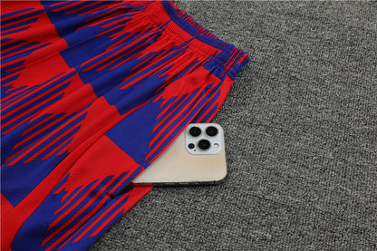 Camisa e short de treino adulto do Barcelona 2023/24 14001