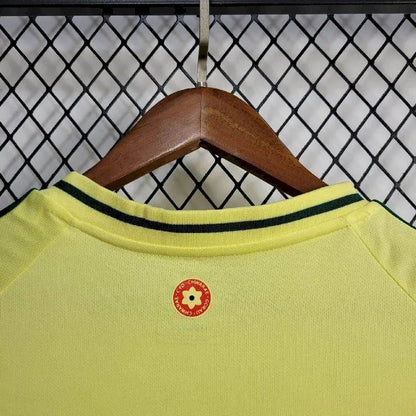 Camisa Home do País de Gales 2024/25 Euro