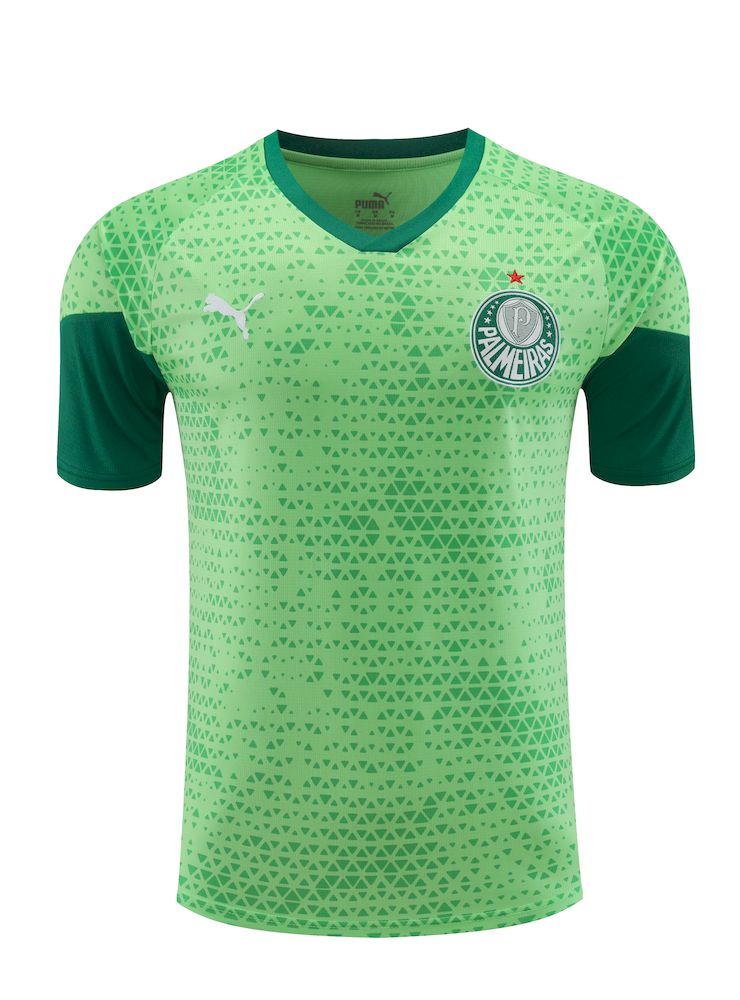 Palmeiras 2024/25 Camisa+Curto Adulto Treinamento 2024/25 418