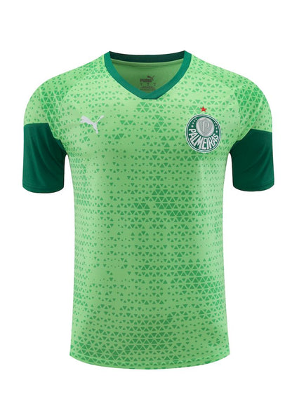 Palmeiras 2024/25 Camisa+Curto Adulto Treinamento 2024/25 418