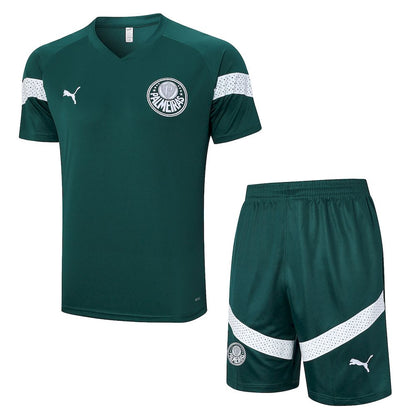 Camisa+Curto Adulto Palmeiras 2023/24 Treinamento 815