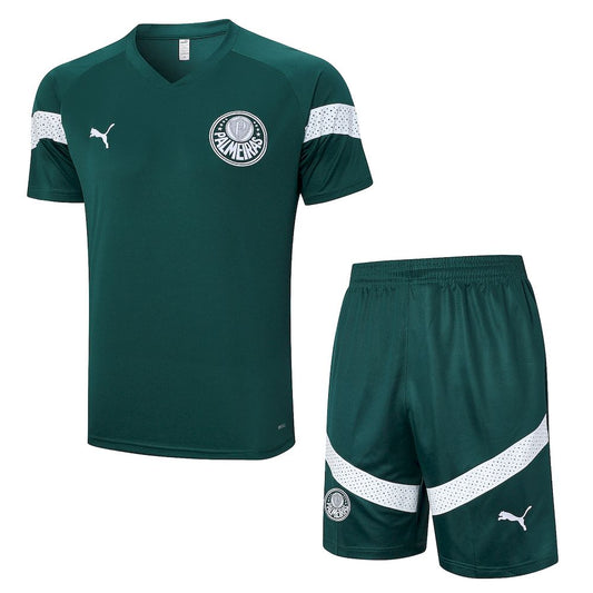 Palmeiras 2023/24 Training Adult Jersey+Short 815